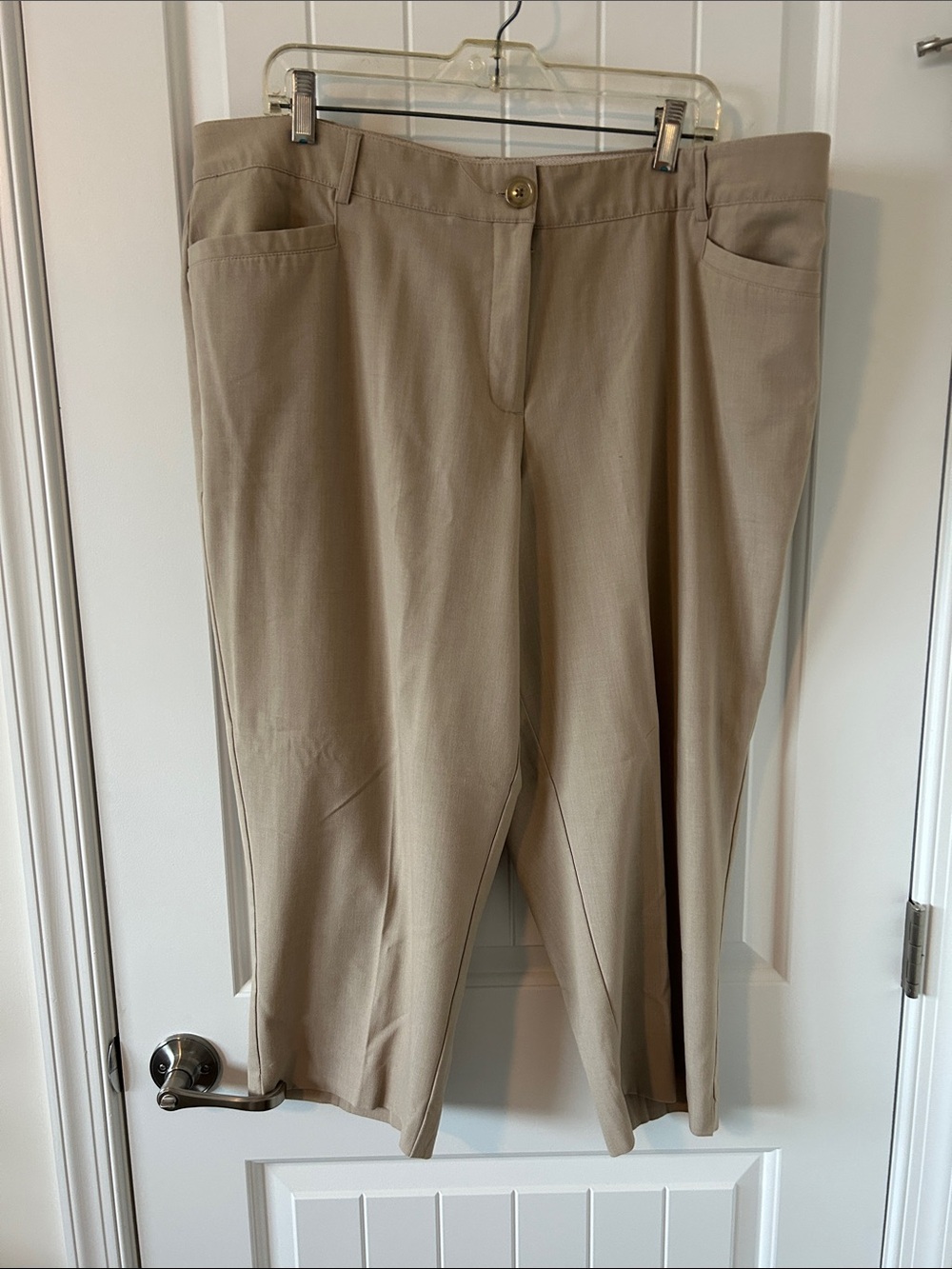 Avenue Beige Knit-Waist Cropped Pants